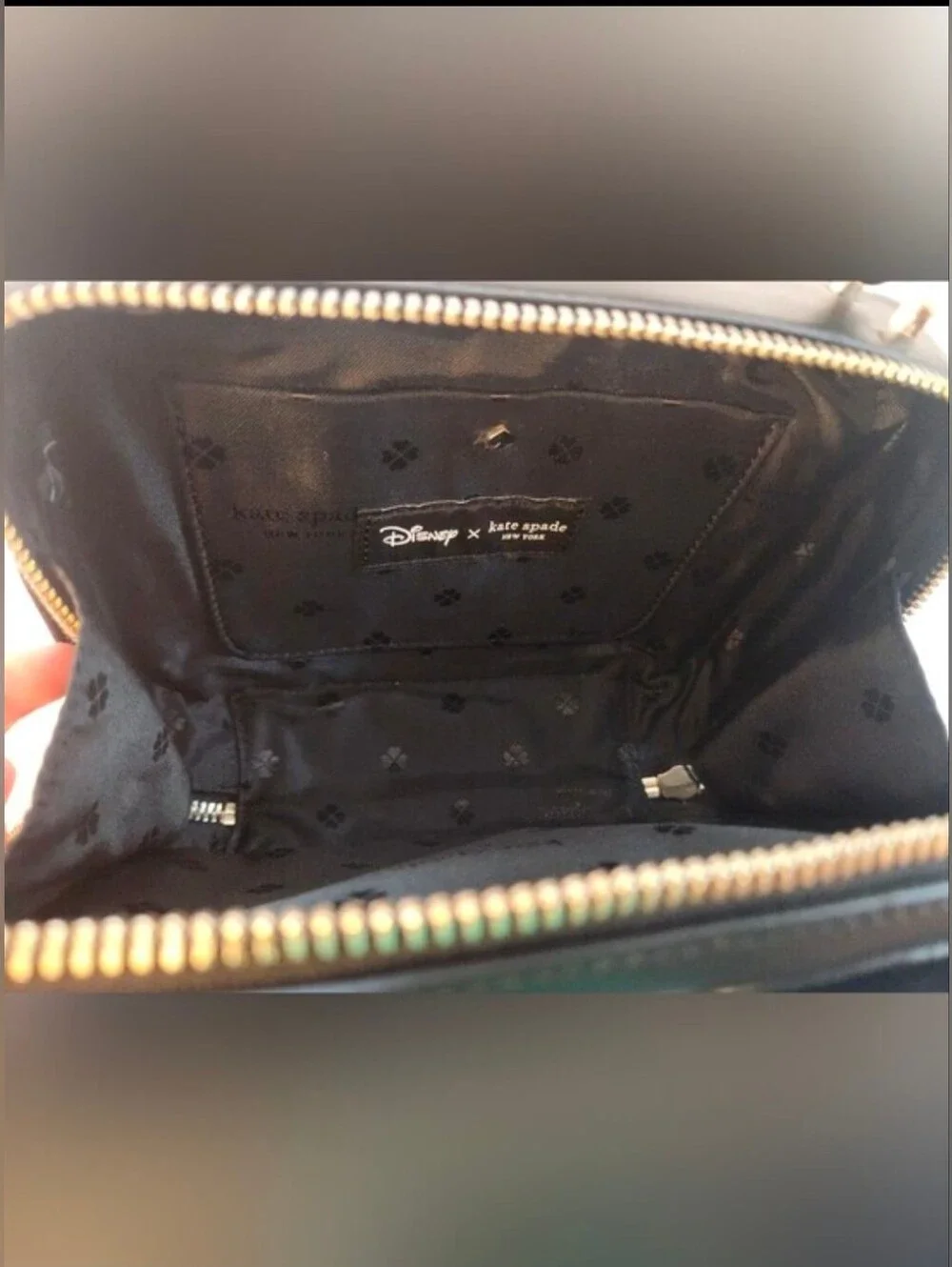 Kate Spade Alice in Wonderland Crossbody